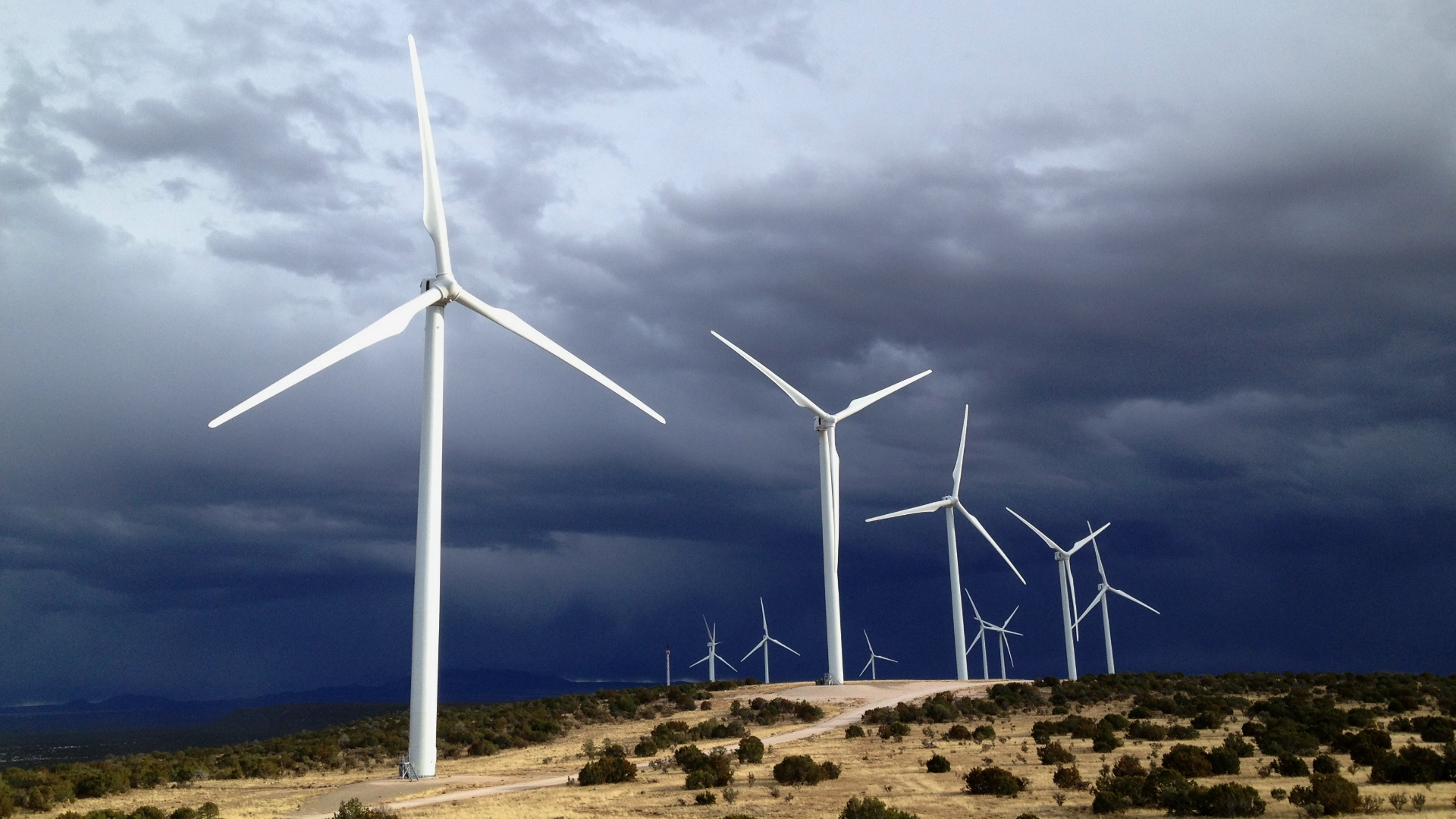 wind turbines in a field